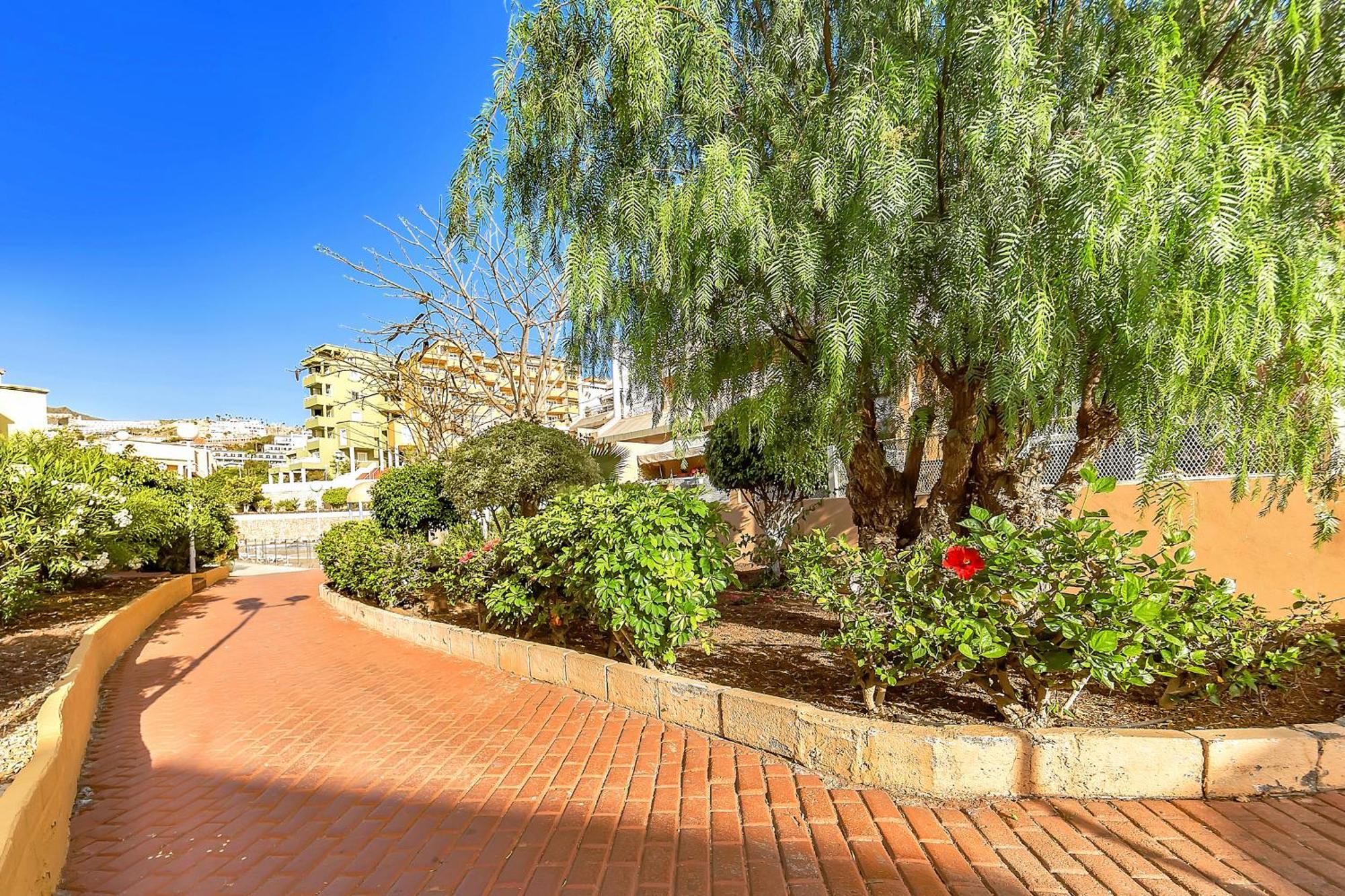 Tenerifeopenhome Ocean View Costa Adeje Exteriör bild